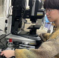 ○○○○○○○○イメージ